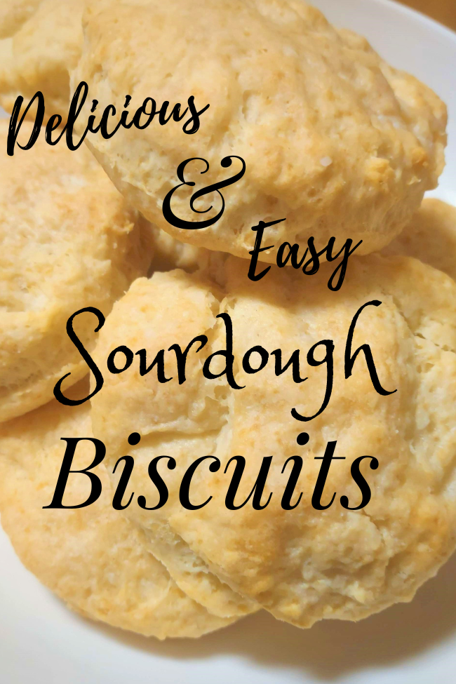 Super Yummy and Easy Sourdough Biscuit Recipe Homemaking For God